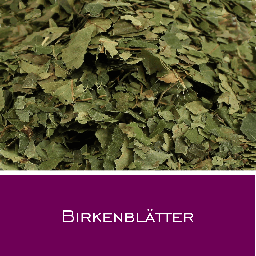 Birkenblätter
