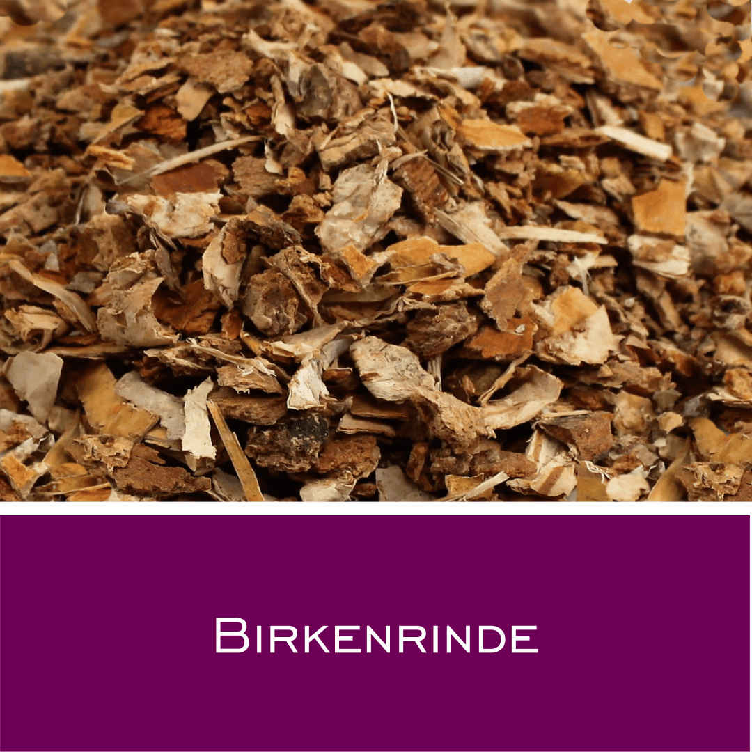 Birkenrinde