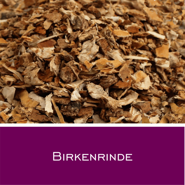 Birkenrinde