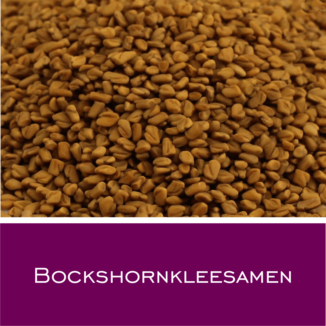 Bockshornkleesamen