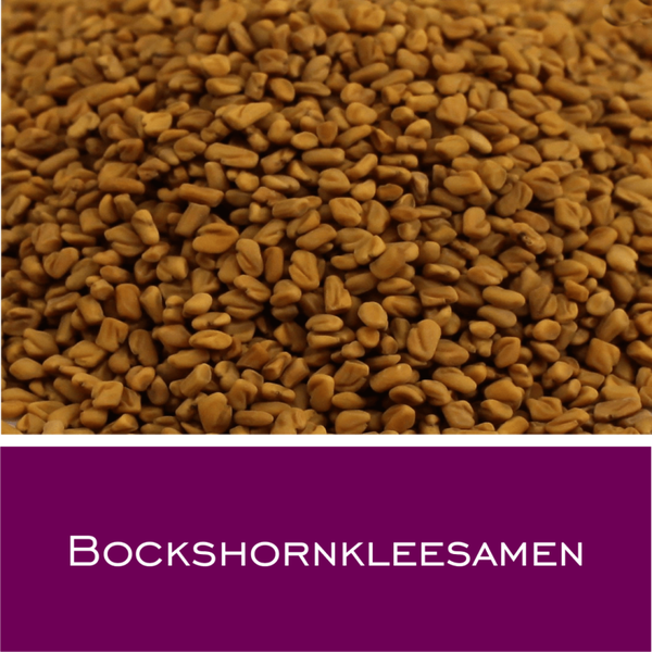 Bockshornkleesamen