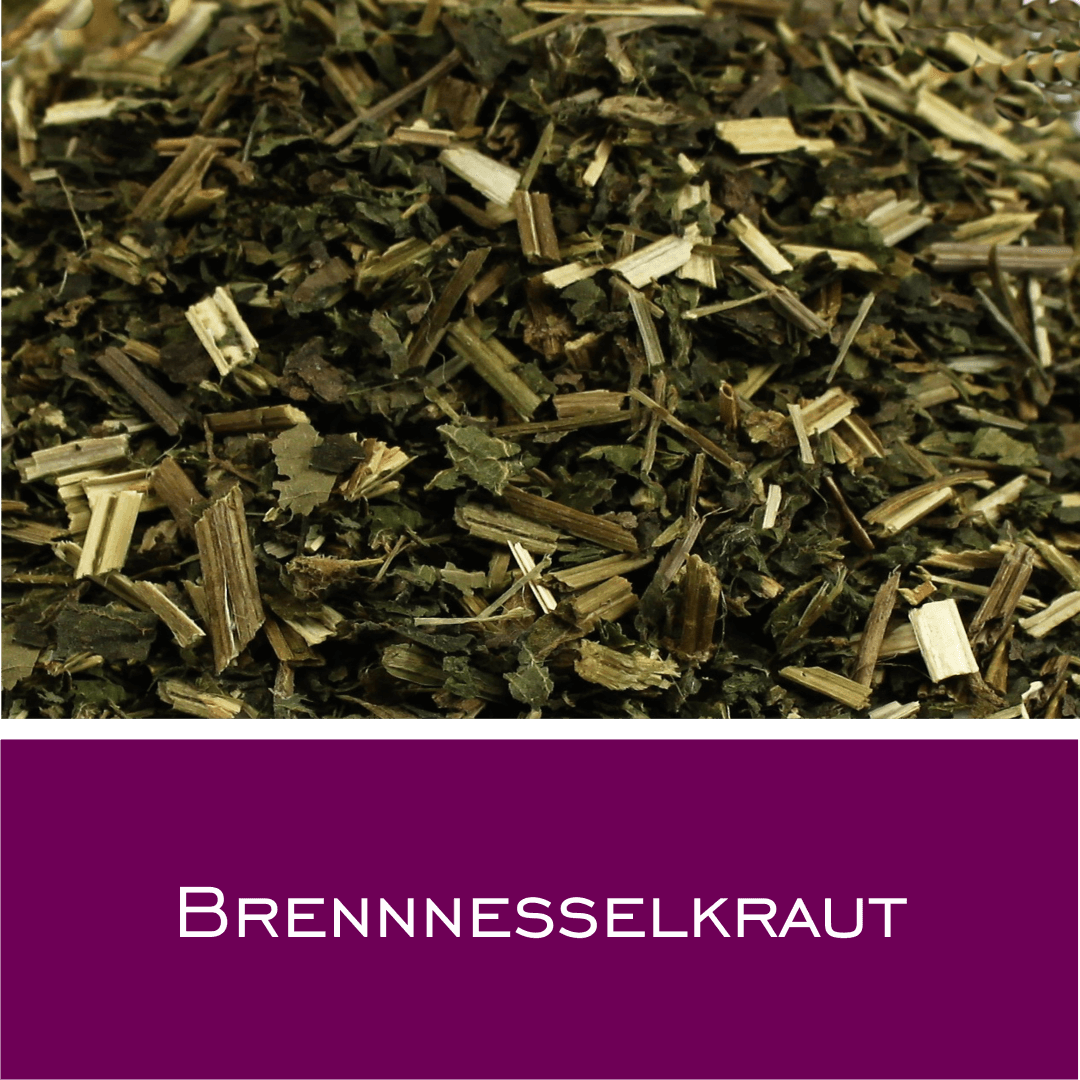 Brennnesselkraut
