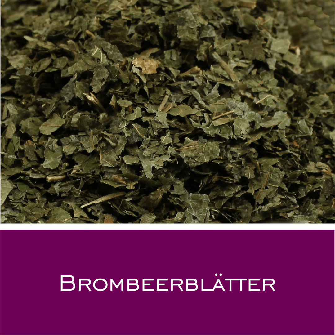 Brombeerblätter