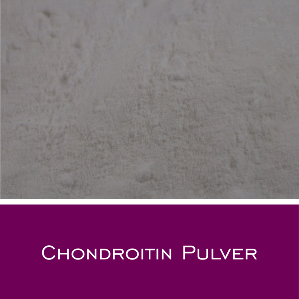 Chondroitin Pulver