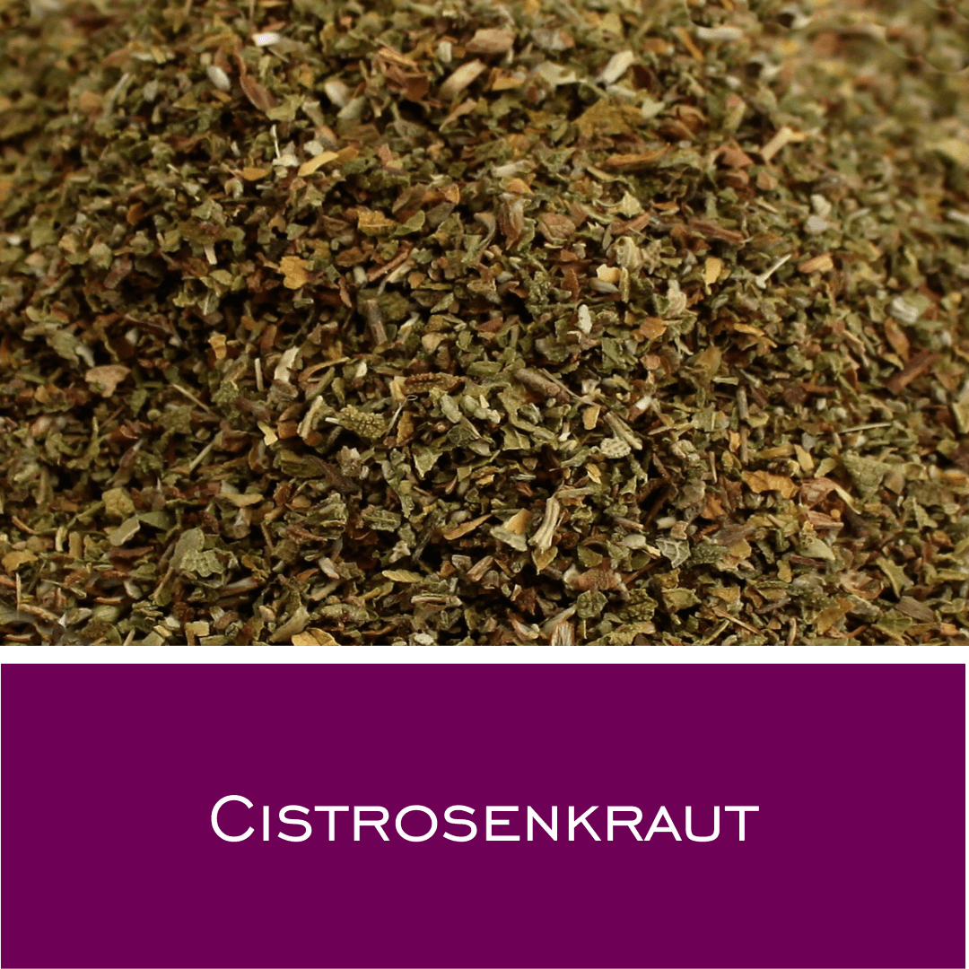 Cistrosenkraut (Cistus)