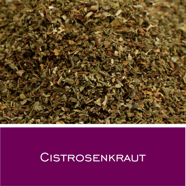 Cistrosenkraut (Cistus)
