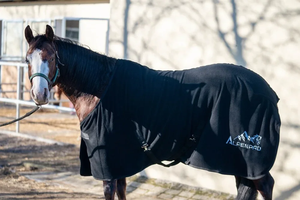 AlpenPad – Fleece Horsecooler