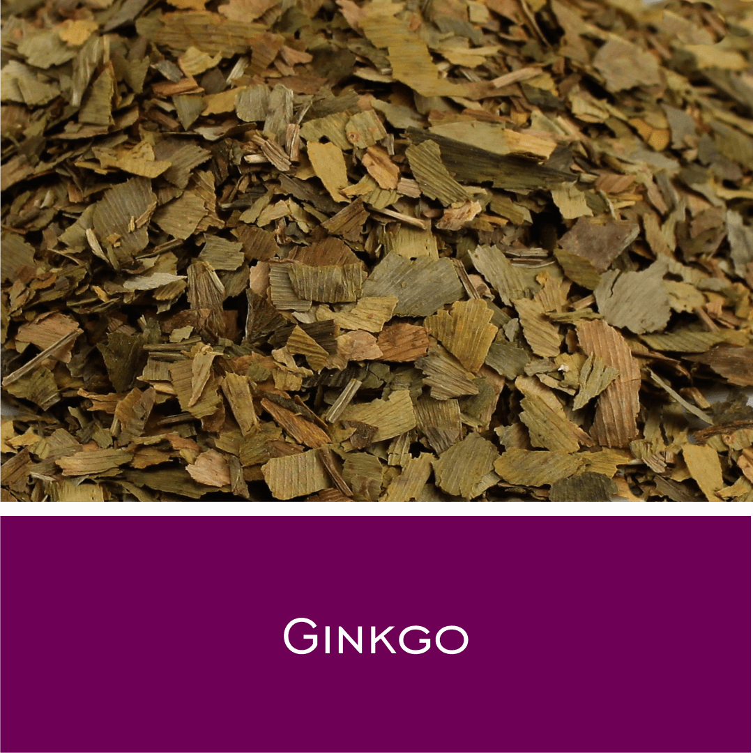 Ginkgoblätter