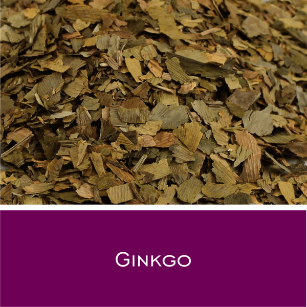 Ginkgoblätter