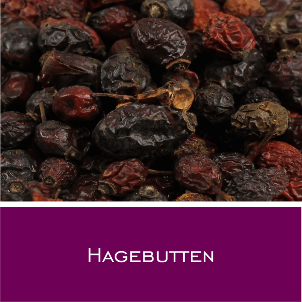 Hagebutten
