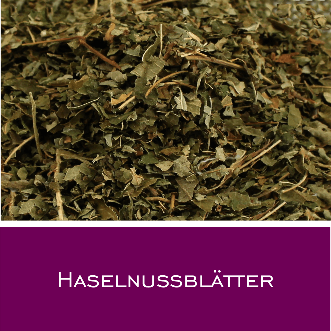 Haselnussblätter