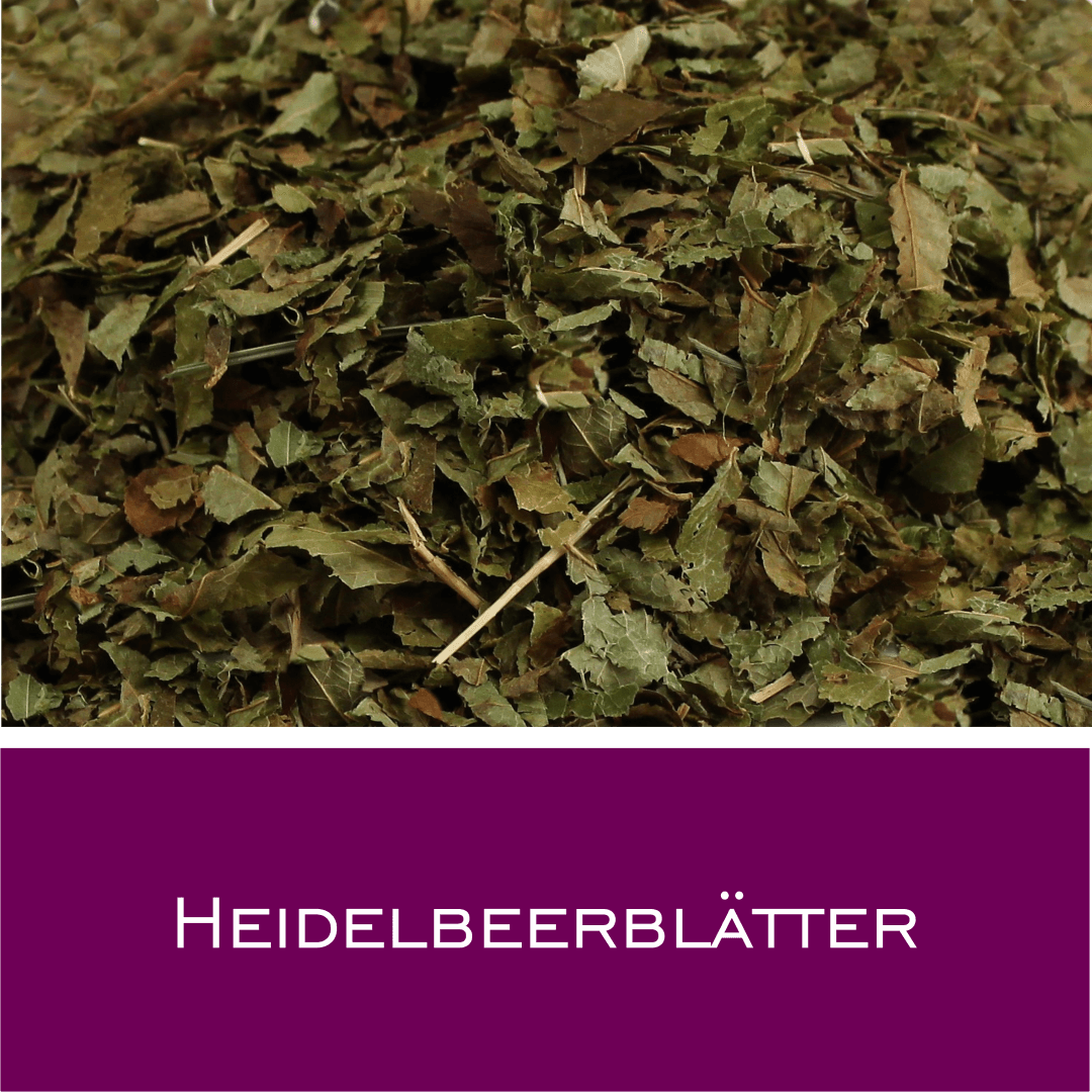 Heidelbeerblätter