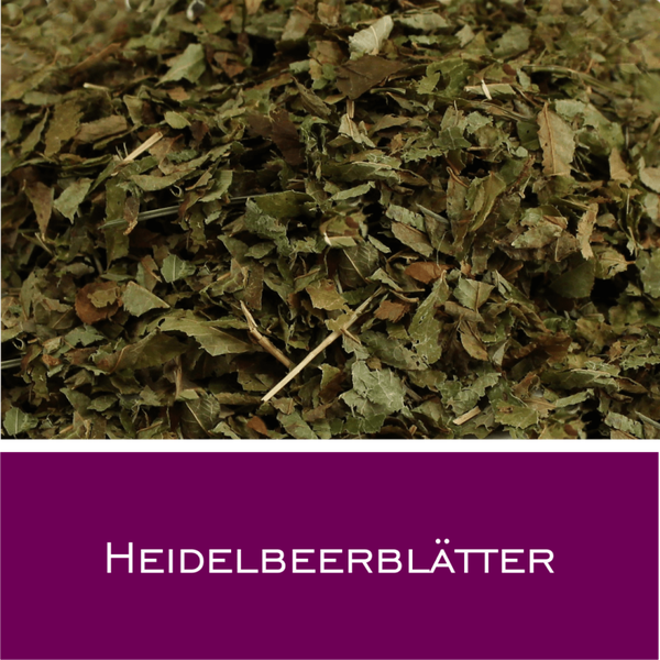 Heidelbeerblätter