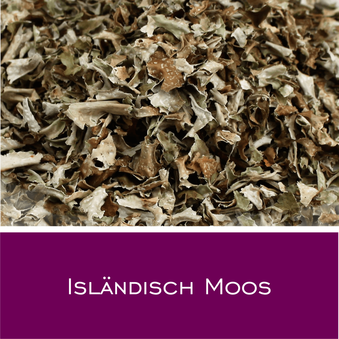 Isländisch Moos