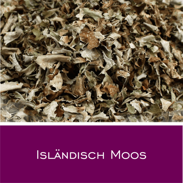 Isländisch Moos