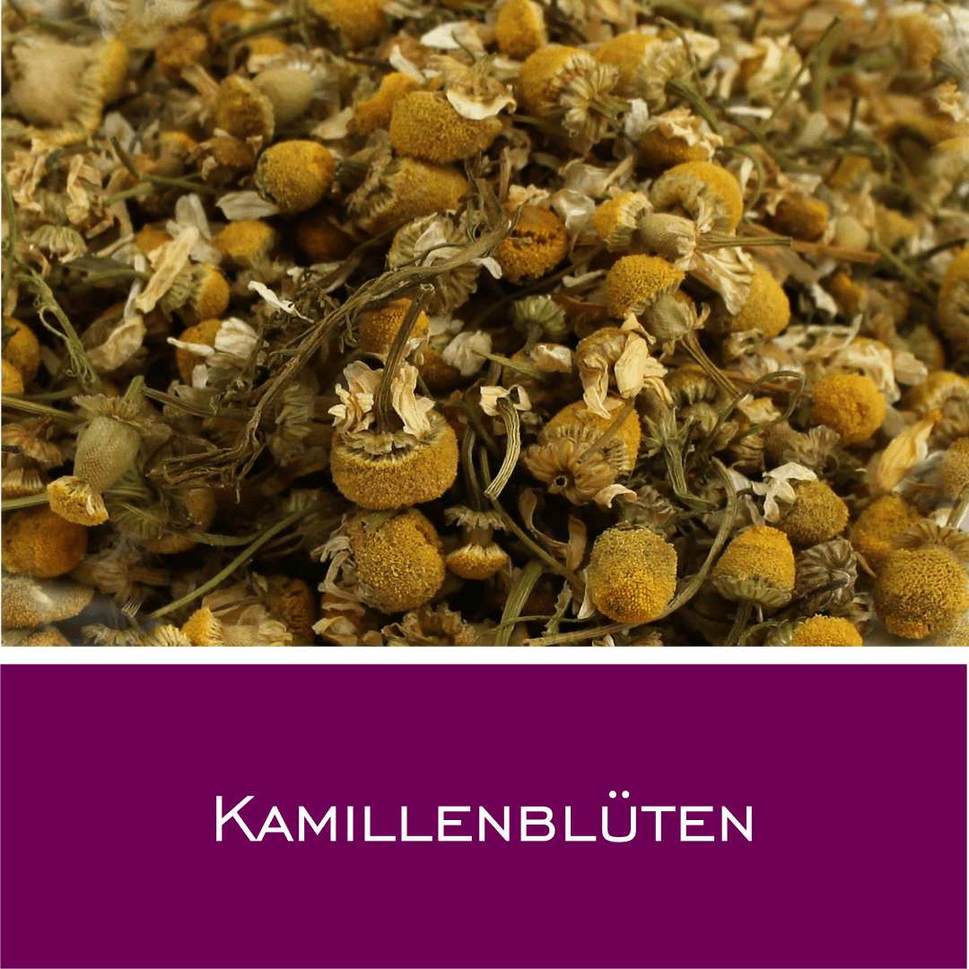 Kamillenblüten ganz