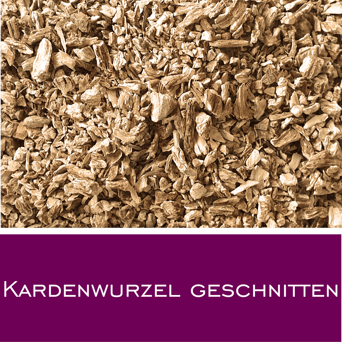 Kardenwurzel