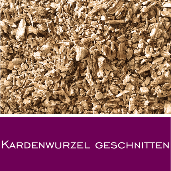 Kardenwurzel