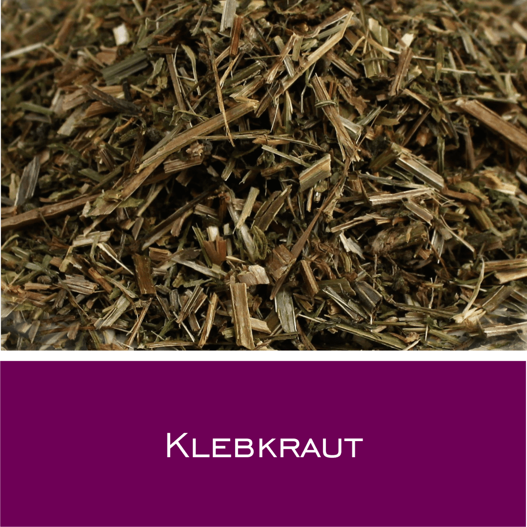 Klebkraut