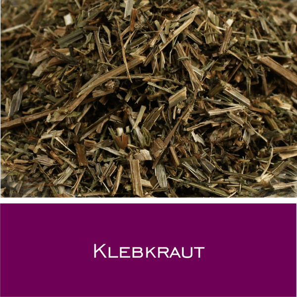 Klebkraut