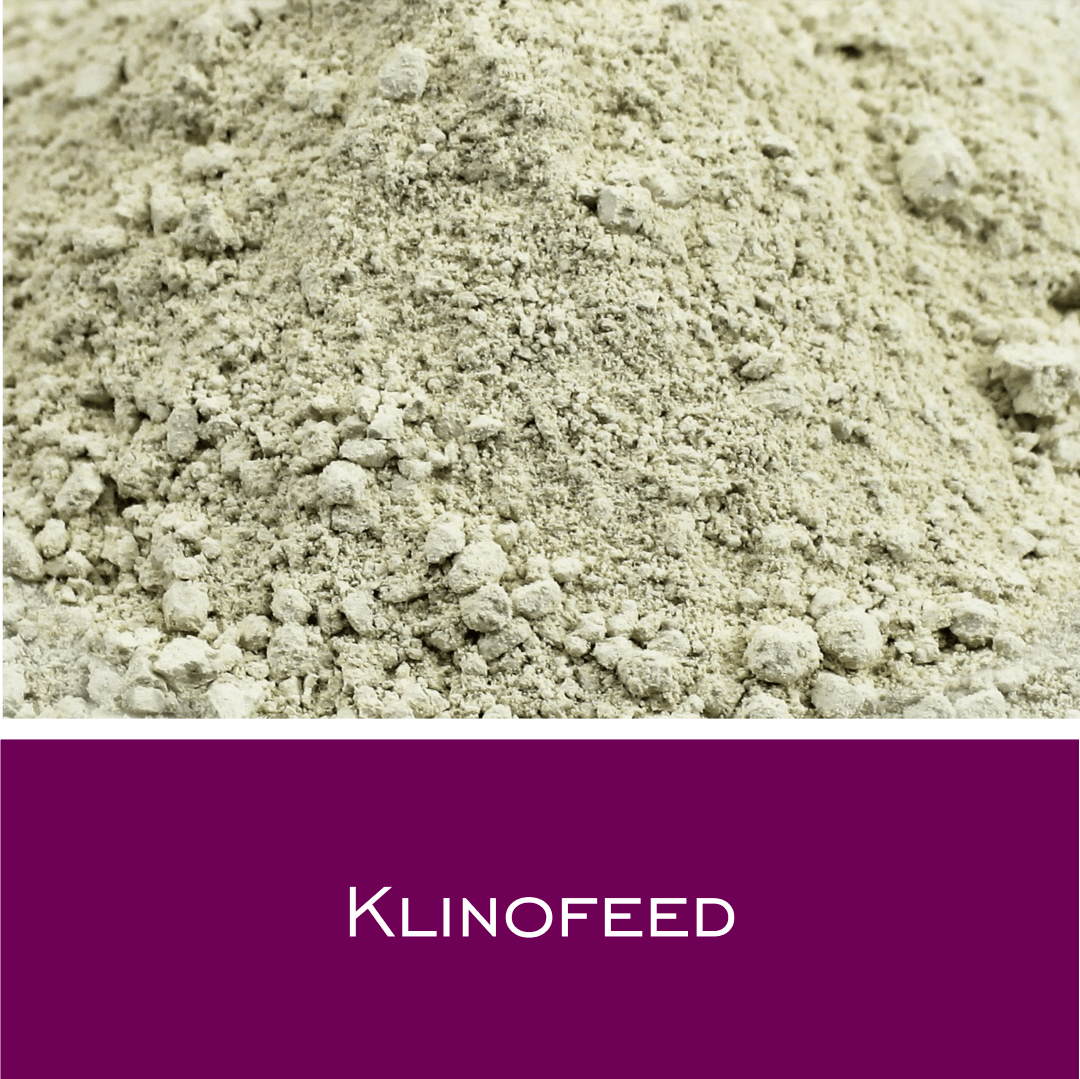 Klinofeed - Zeolith