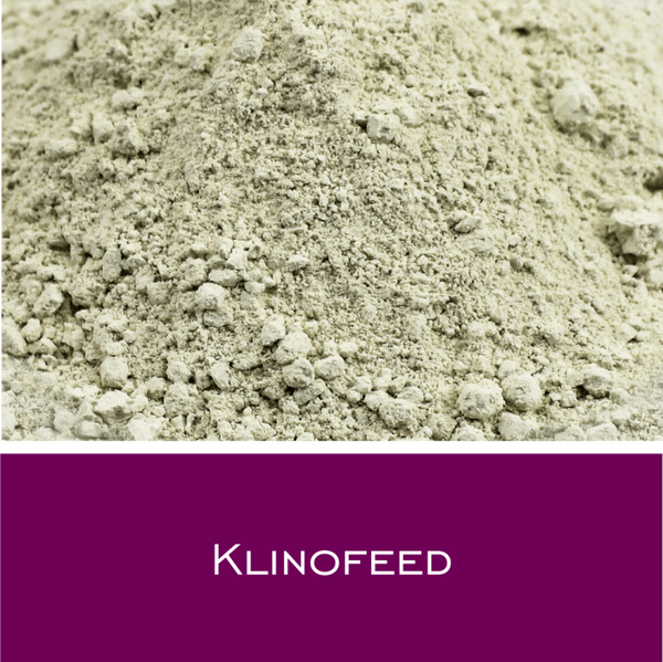Klinofeed - Zeolith