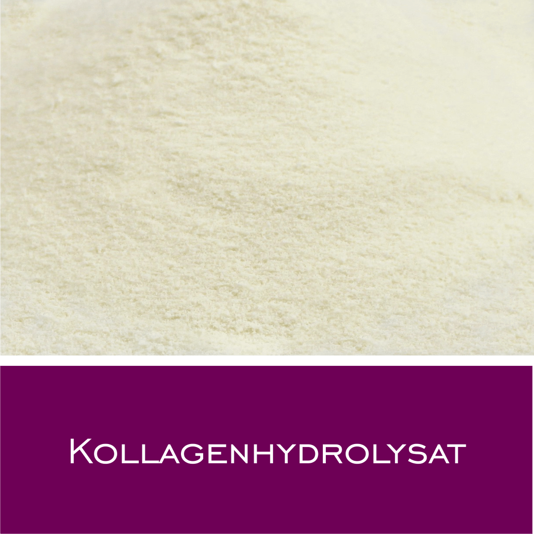 Kollagenhydrolysat