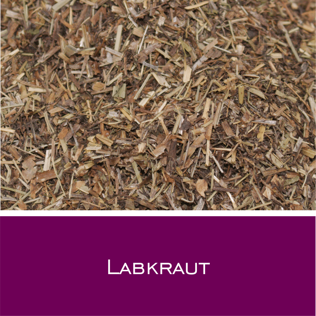Labkraut