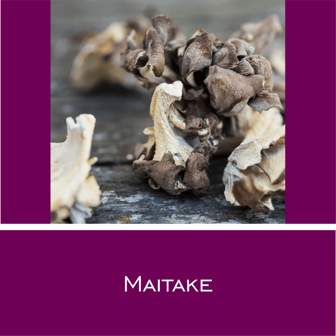 Maitake - Vitalpilz-Pulver