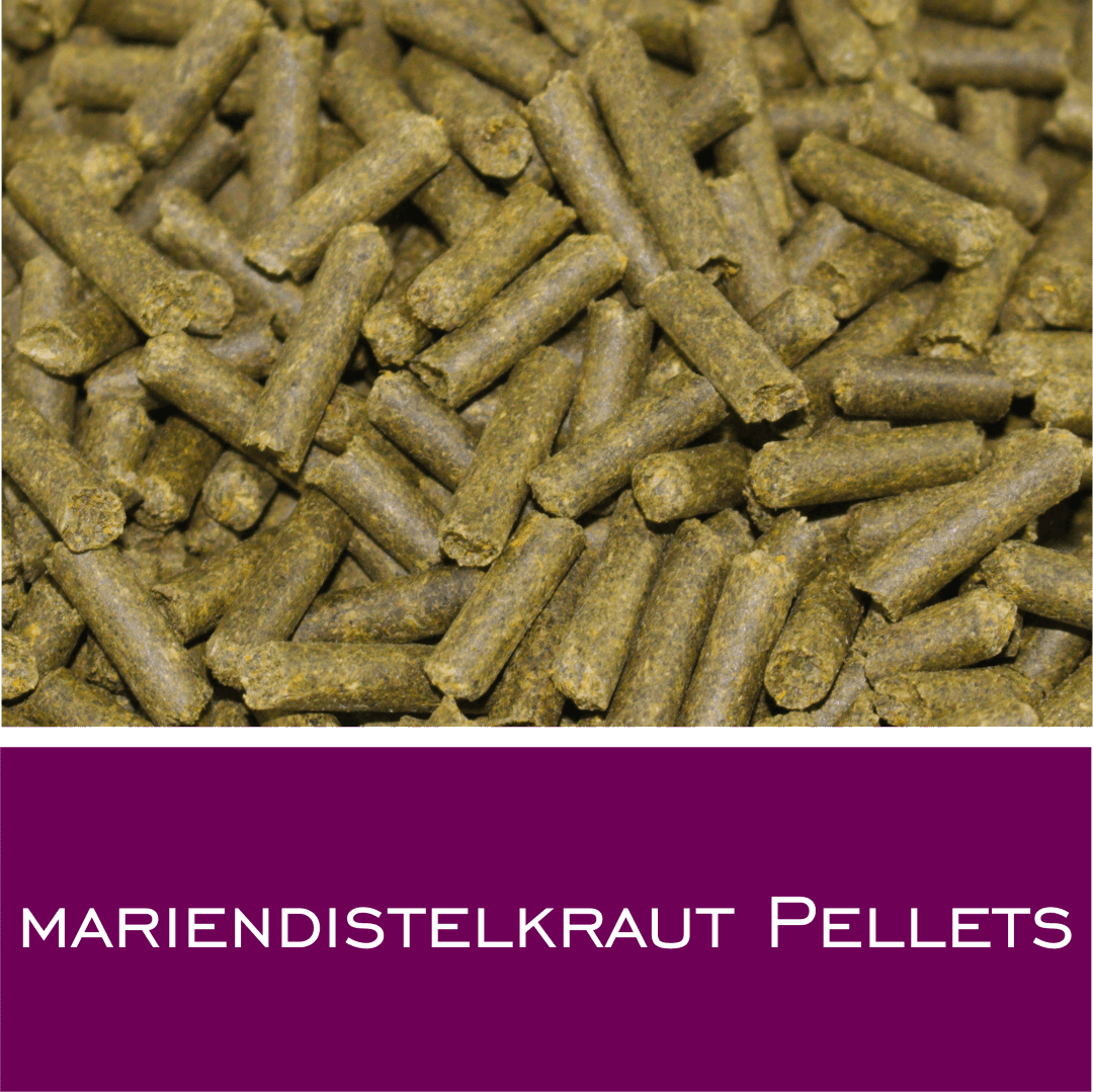 Mariendistelkraut Pellets