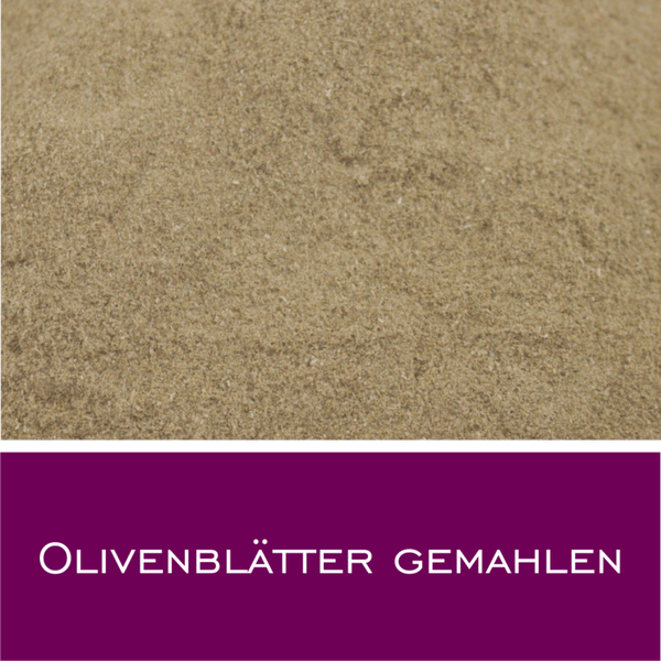Olivenblätter gemahlen