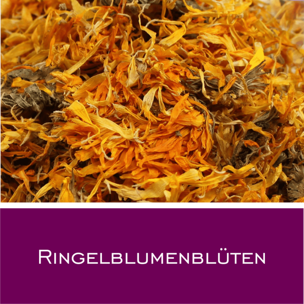 Ringelblumenblüten mit Kelch