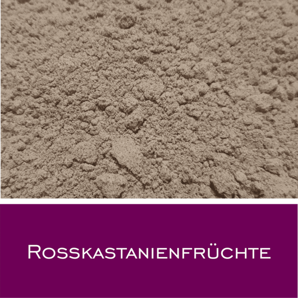 Rosskastanienfrüchte