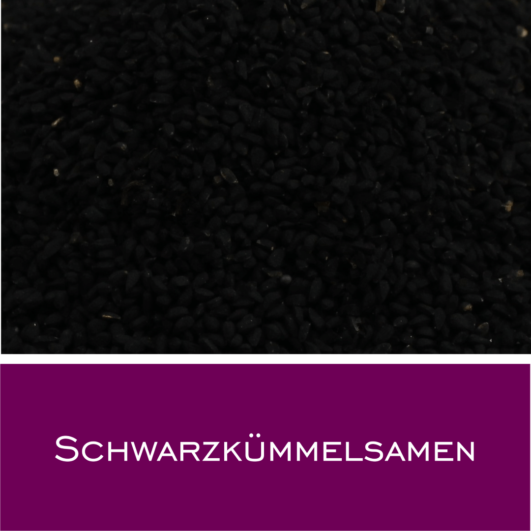 Schwarzkümmelsamen (Ägyptisch)