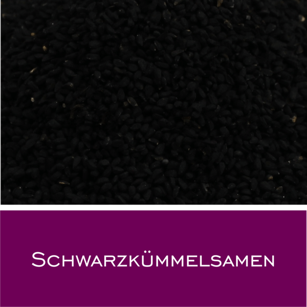 Schwarzkümmelsamen (Ägyptisch)