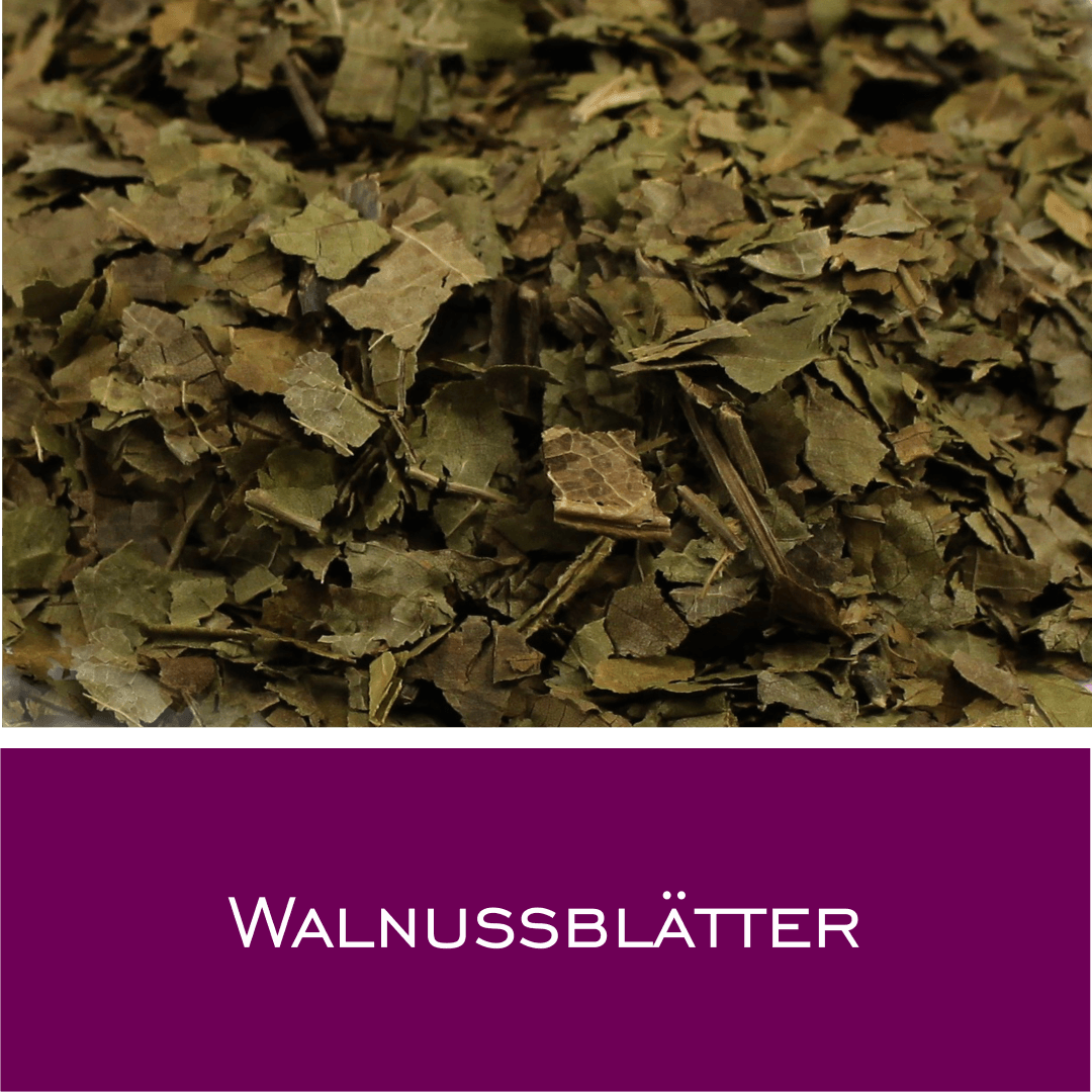 Walnussblätter