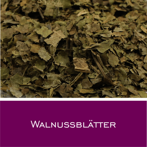 Walnussblätter