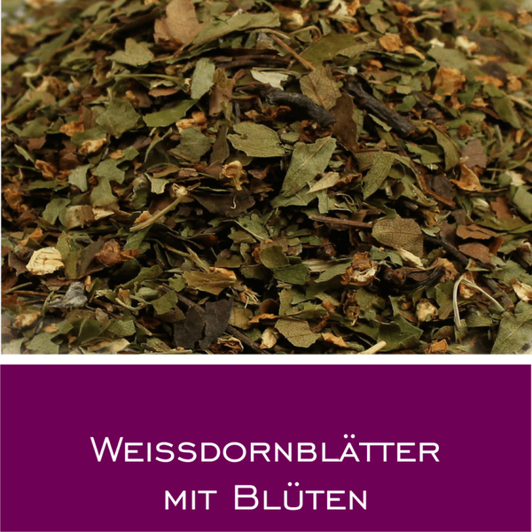 Weißdornblätter mit Blüten