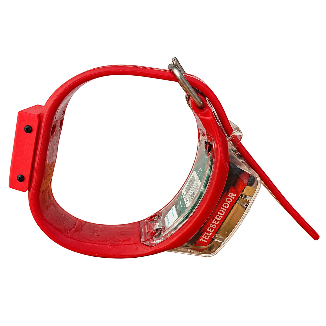Collar GPS R10