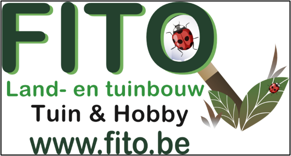 fito-standard.png