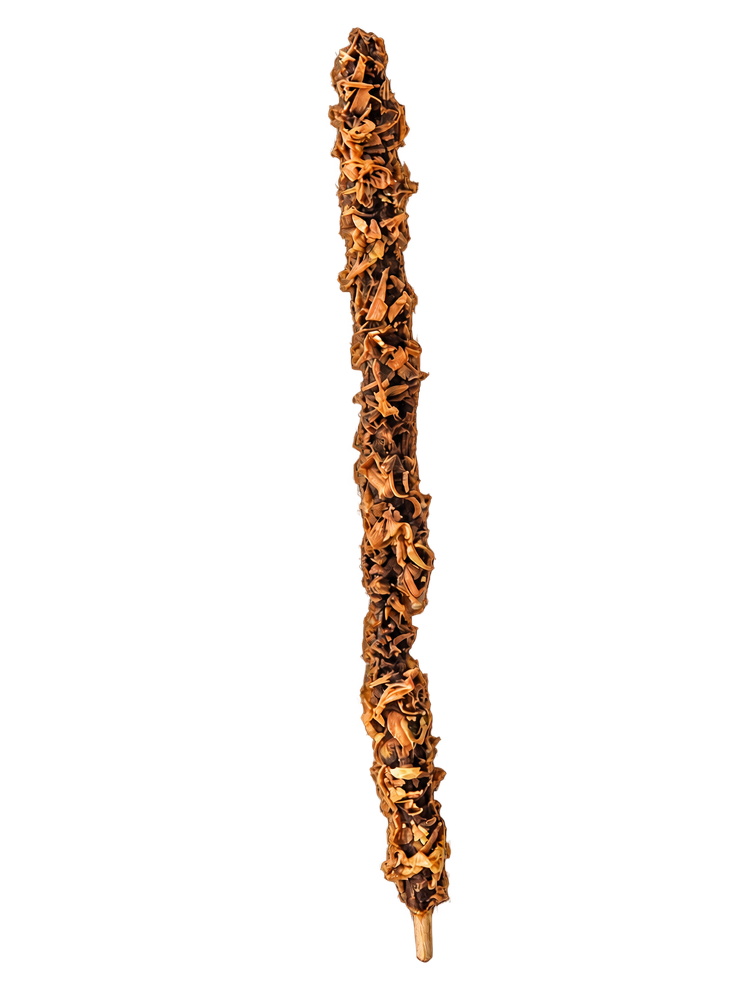 Grand Encens fleur d'oranger