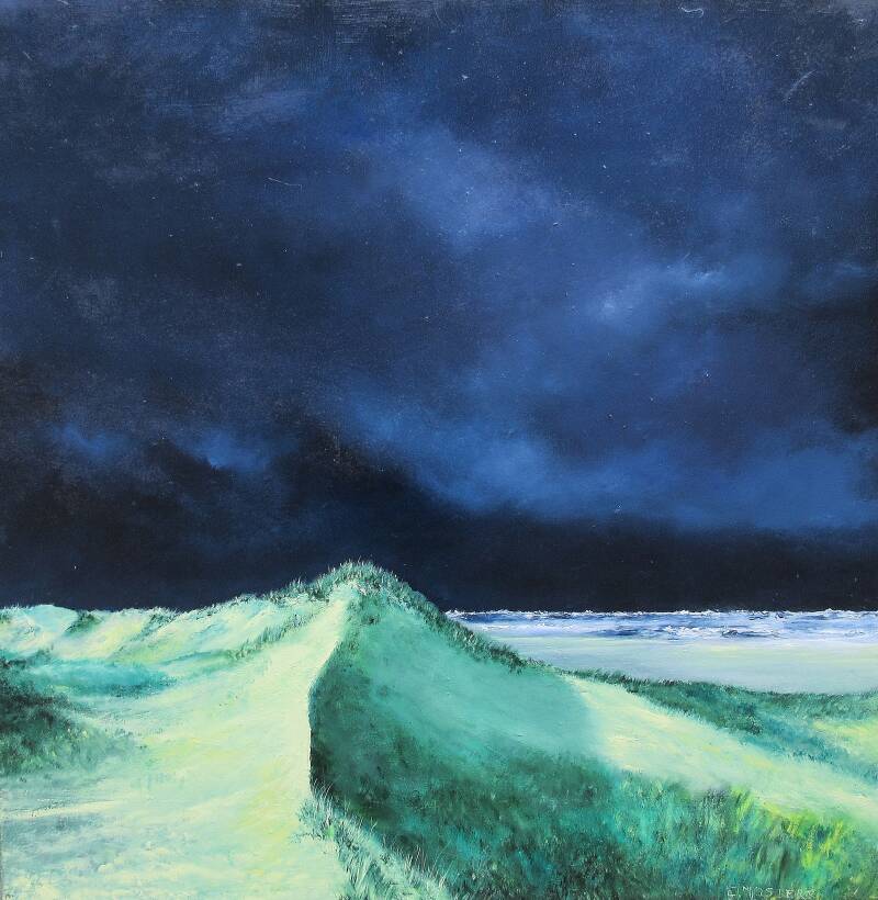 jan mostert landschappen