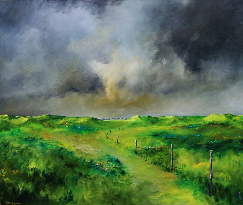 jan mostert landschappen