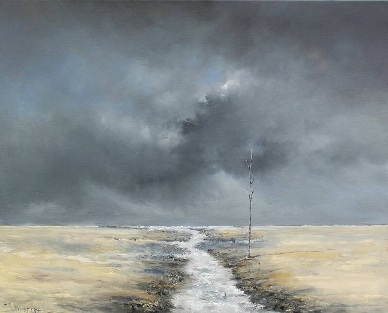  op de wadden jan mostertlandschappen