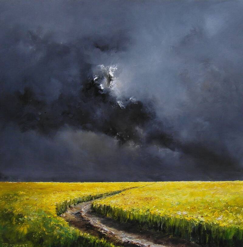 jan mostert landschappen