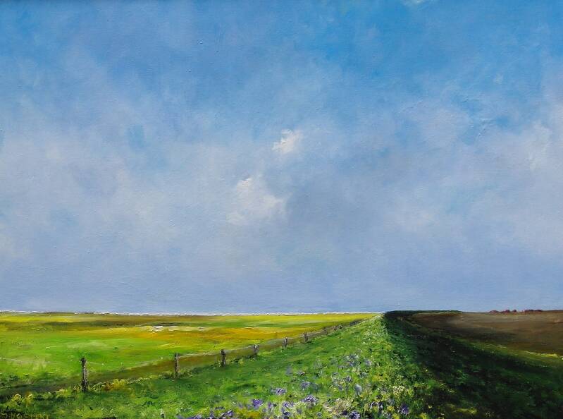 jan mostert landschappen
