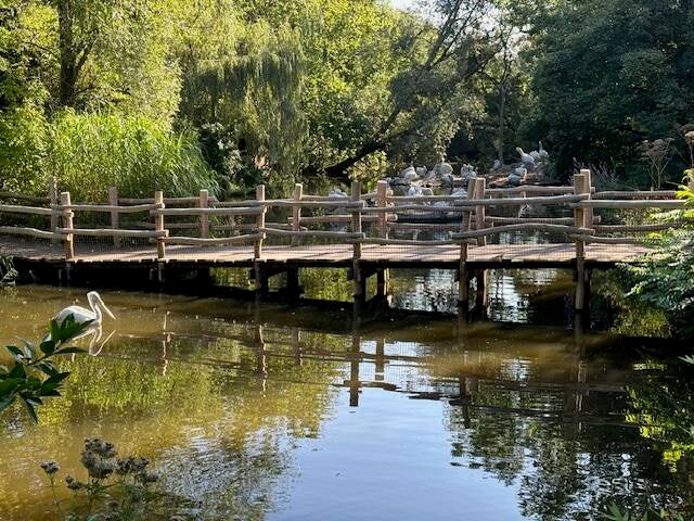 Pelikanenvijver: de meest verontreinigd door uitwerpselen