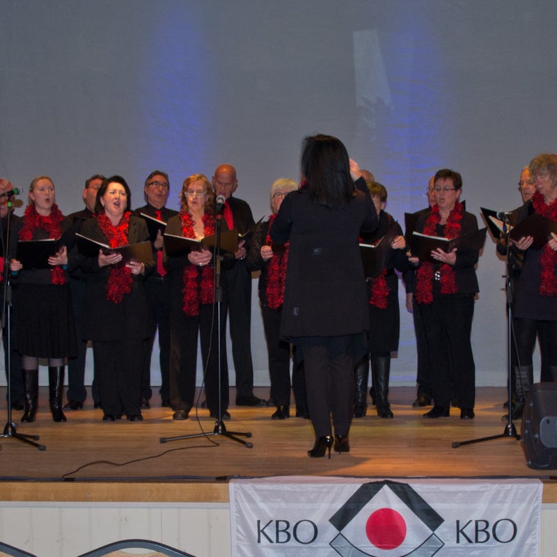 28-12-2012 Korendag KBO Mierlo-Hout/Brandevoort