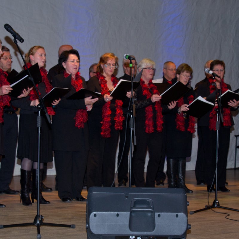 28-12-2012 Korendag KBO Mierlo-Hout/Brandevoort
