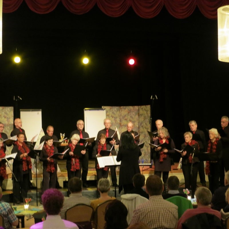 14-4-2013 Voorjaarsconcert met kunstexpositie van onze leden